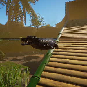 Cuvier's dwarf caiman