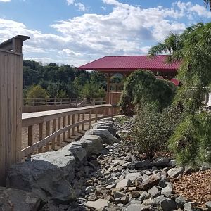 Animal Adventure Park - Giraffe exhibit #1