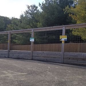 Animal Adventure Park - Sika & Fallow deer