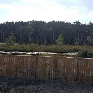 Animal Adventure Park - Marsh behind zoo