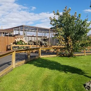 Animal Adventure Park - Puma, canada lynx