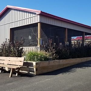 Animal Adventure Park - Lorikeet aviary