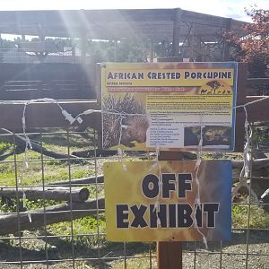 Animal Adventure Park - Porcupine (empty)