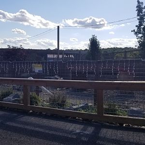 Animal Adventure Park - Warthog