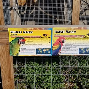 Animal Adventure Park - Macaws