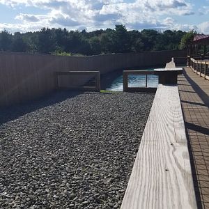 Animal Adventure Park - South american area