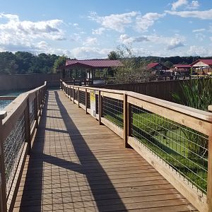 Animal Adventure Park - Boardwalk