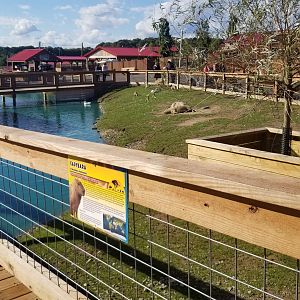 Animal Adventure Park - South american area