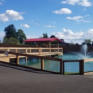 Animal Adventure Park - South american pond