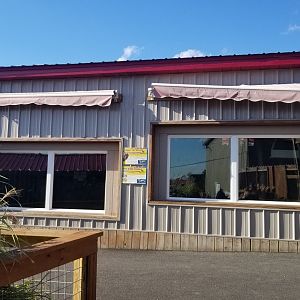 Animal Adventure Park - Armadillo, sloth