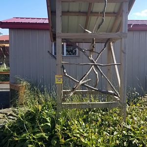 Animal Adventure Park - Blue & gold macaw