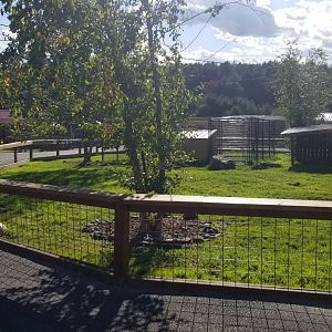 Animal Adventure Park - Tortoise yard