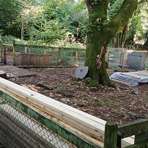 Otter house has been demolished, new one on the way?