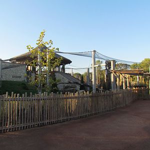 Slawson Family Big Cat Trek