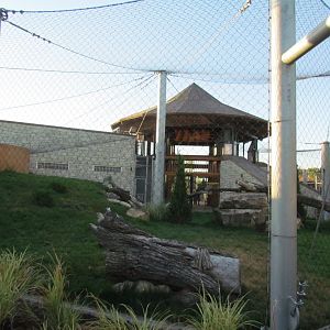 Slawson Family Big Cat Trek