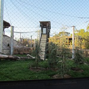 Slawson Family Big Cat Trek