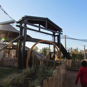 Slawson Family Big Cat Trek