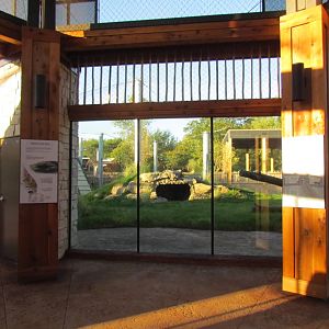 Slawson Family Big Cat Trek