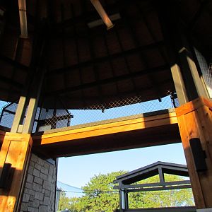 Slawson Family Big Cat Trek