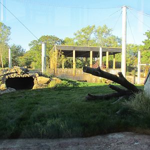 Slawson Family Big Cat Trek