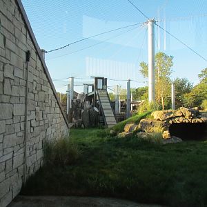 Slawson Family Big Cat Trek