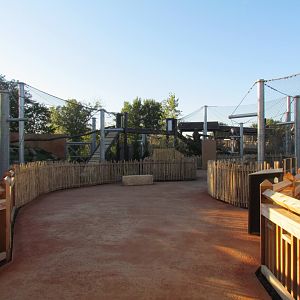 Slawson Family Big Cat Trek