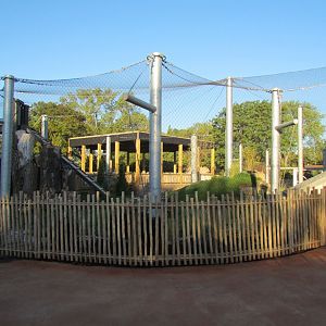 Slawson Family Big Cat Trek