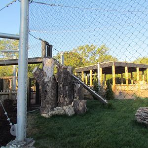 Slawson Family Big Cat Trek