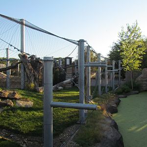 Slawson Family Big Cat Trek