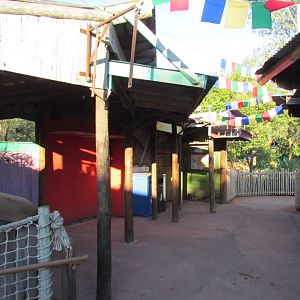 Slawson Family Big Cat Trek