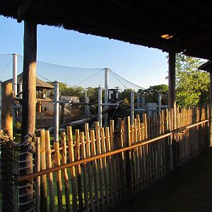 Slawson Family Big Cat Trek