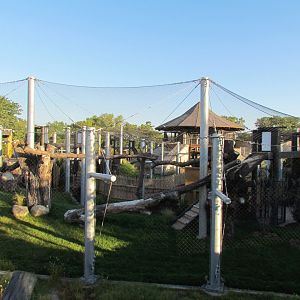 Slawson Family Big Cat Trek