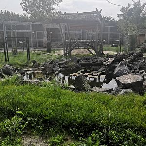 MALKIA PARK - Snapping turtle, whole the enclosure