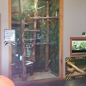 Wild Animal Park - Unsigned birds