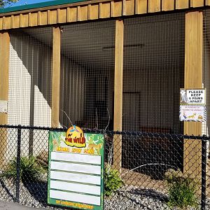 Wild Animal Park - Fisher