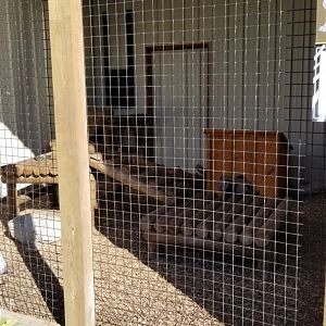 Wild Animal Park - Fisher