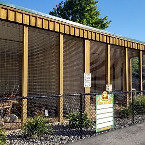 Wild Animal Park - Fisher, American badger
