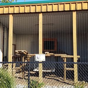 Wild Animal Park - Binturong