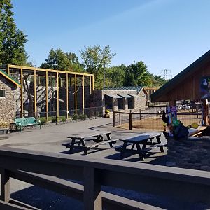 Wild Animal Park - Goats, gibbon, otters from alligator platform