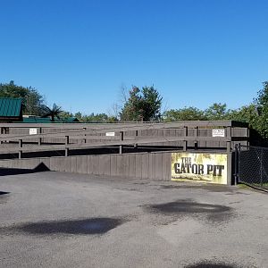 Wild Animal Park - American alligators