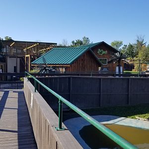 Wild Animal Park - American alligators