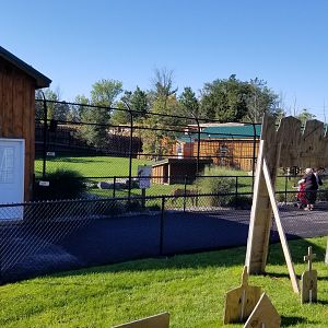 Wild Animal Park - Cheetah yard from alligator platform