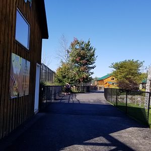 Wild Animal Park - Path