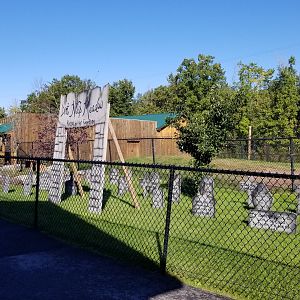 Wild Animal Park - Halloween decorations in empty exhibit space