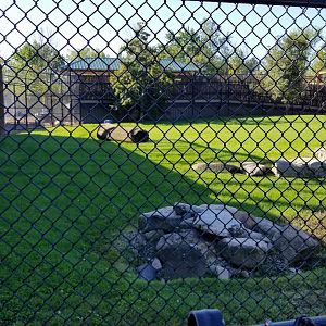 Wild Animal Park - Cheetah yard, back fence is giraffe feeding platform