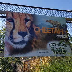 Wild Animal Park - Cheetah sponsorship sign