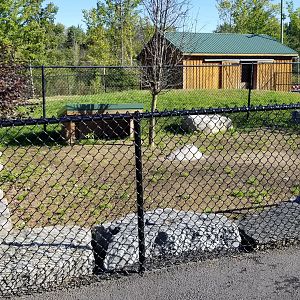 Wild Animal Park - Unused exhibit yard