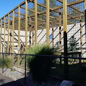 Wild Animal Park - Snow leopard