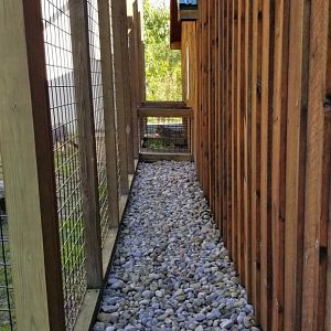Wild Animal Park - Snow leopard