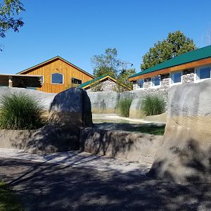 Wild Animal Park - African penguins